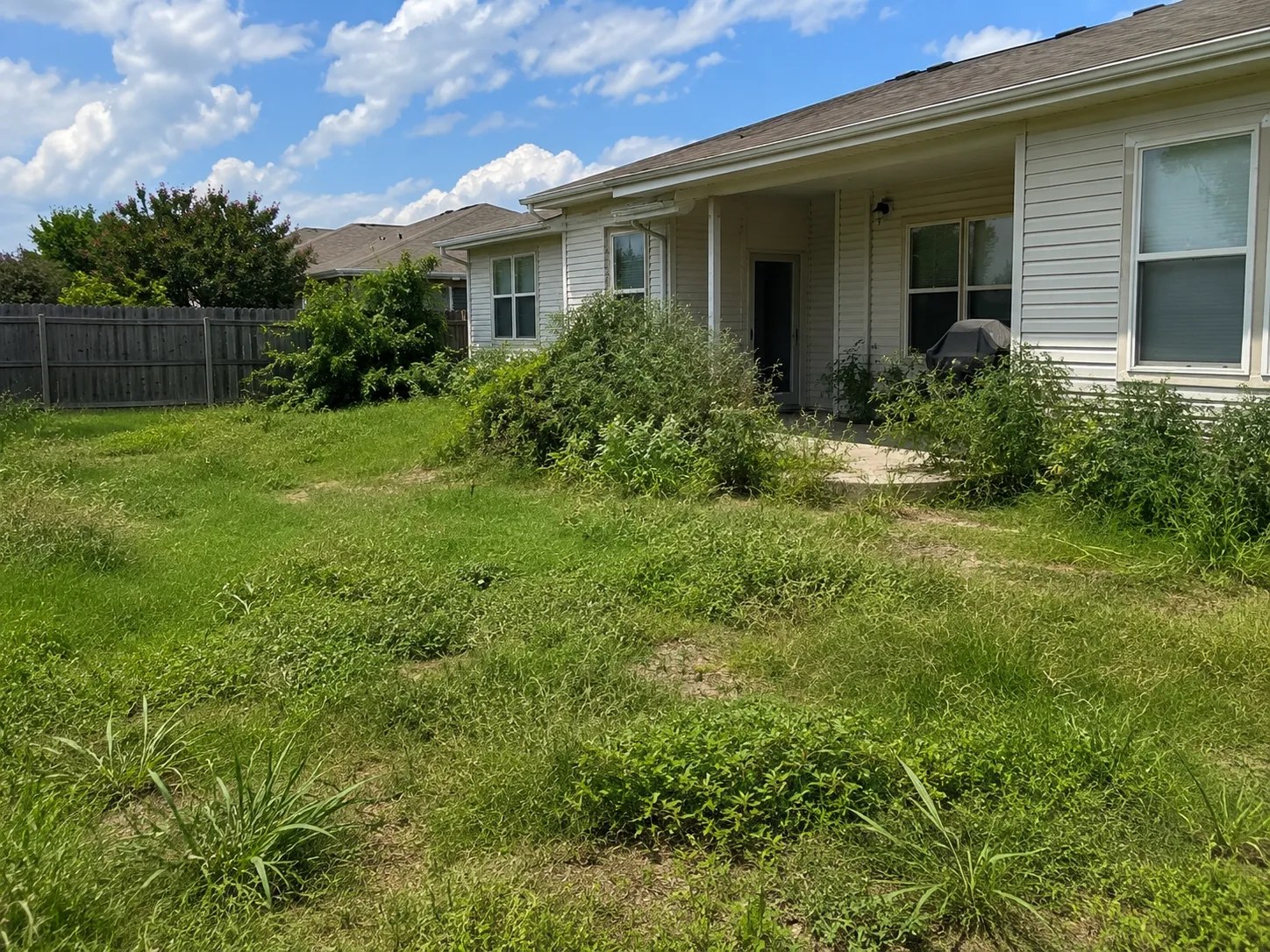 Before: backyard family redo in Lakeview