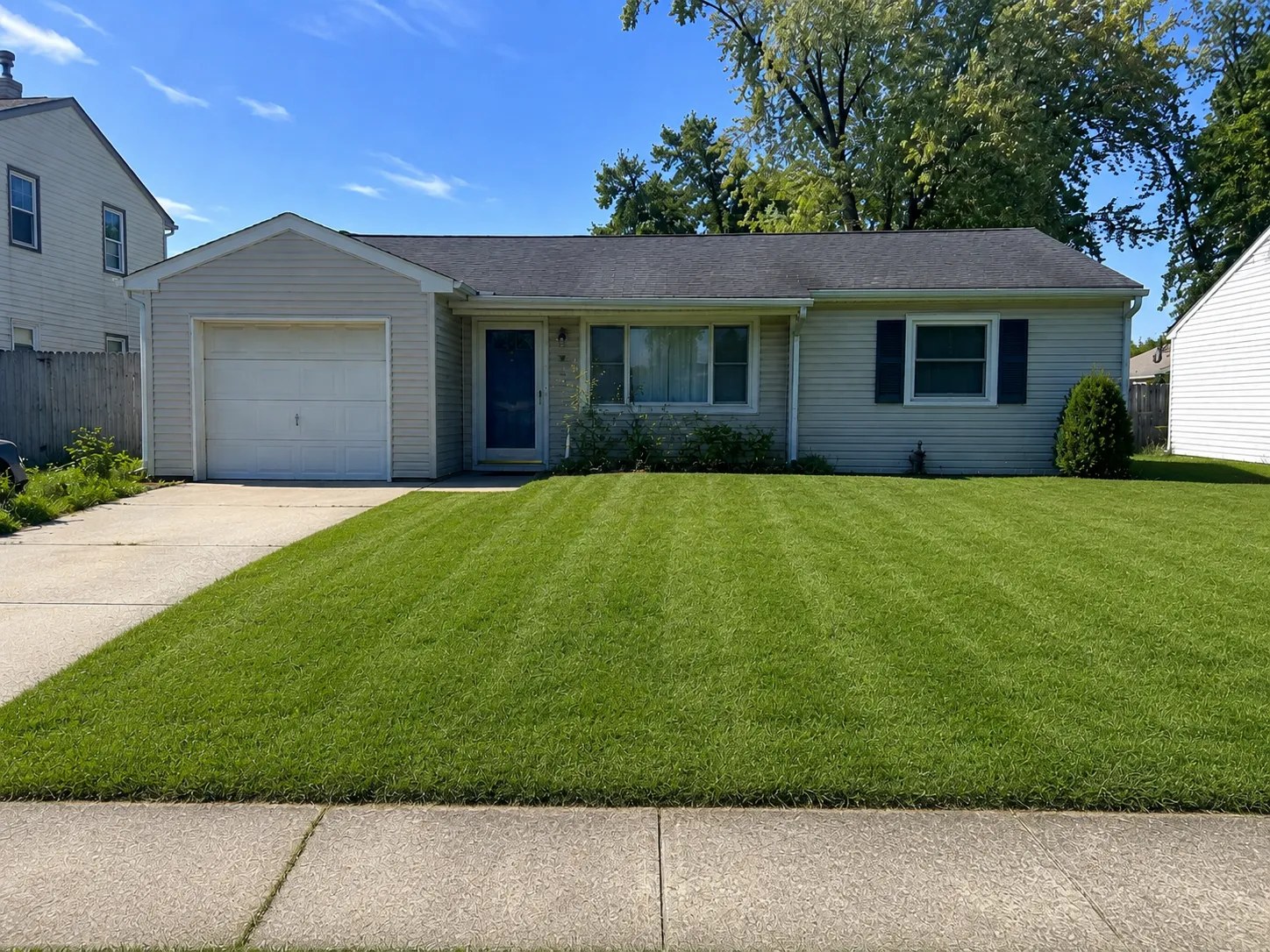 After: front lawn revival on Mountain St.