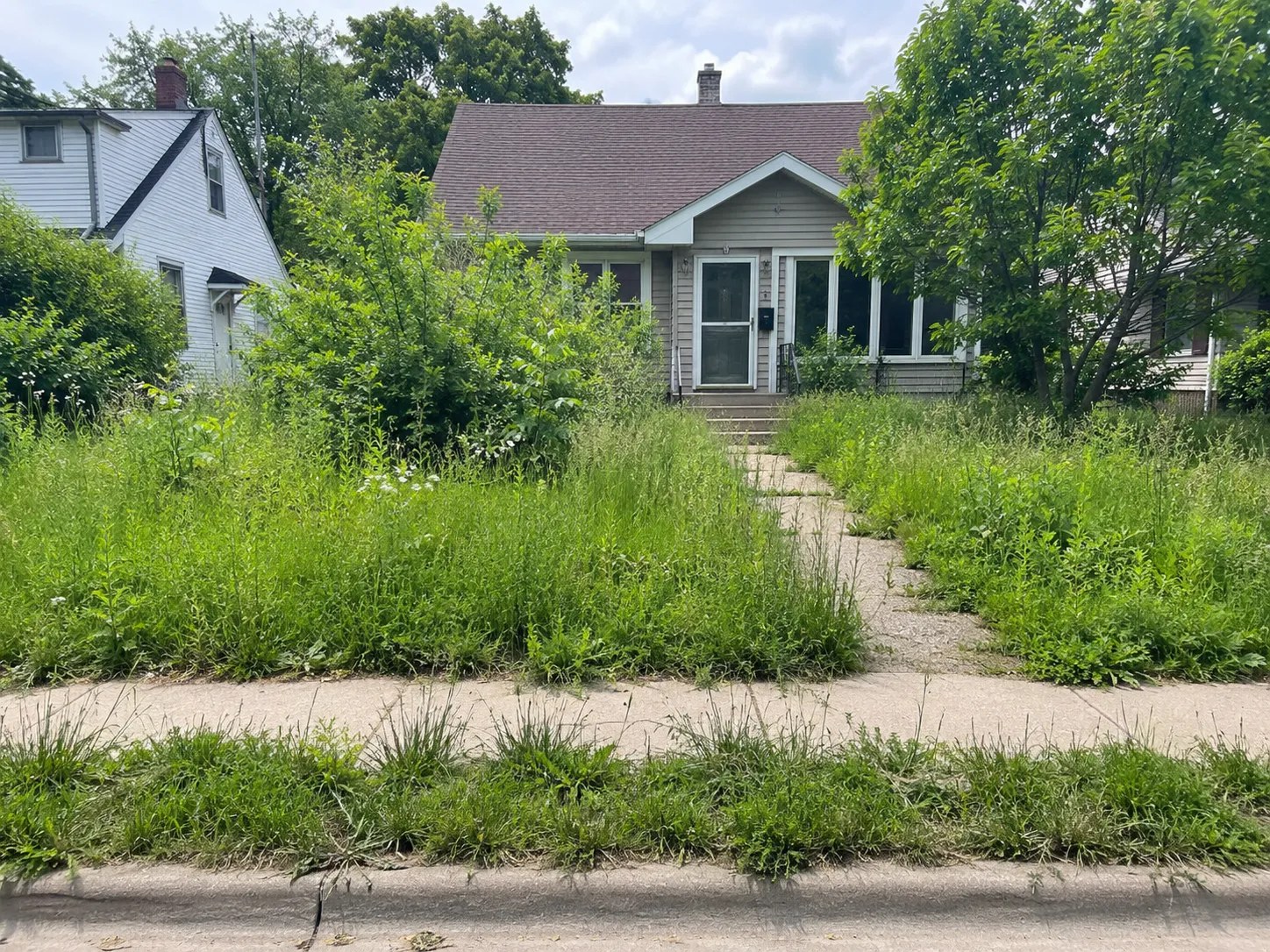 Before: overgrown yard rescue in Kings Canyon
